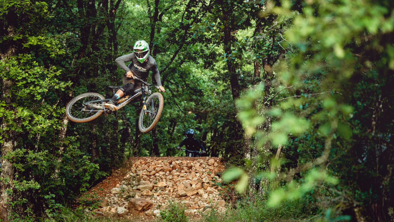 Nico Vink Signature Series | Reverse Components